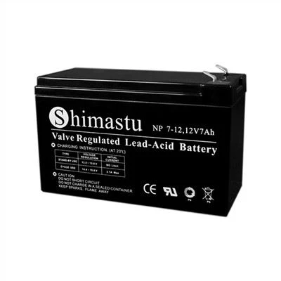 Intruder Alarm Battery